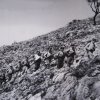 Partinico (87)